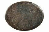 Stony Chondrite Cabochon ( grams) - Meteorite #238187-1